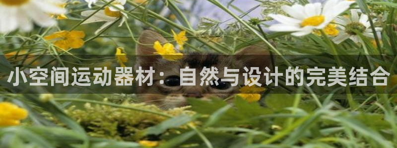 fb体育注册：小空间运动器材：自然与设计的完美结合