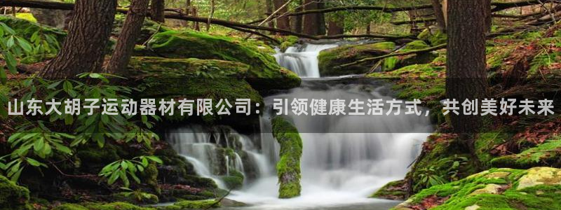 fb体育联系电话：山东大胡子运动器材有限公司：引领健康生活方