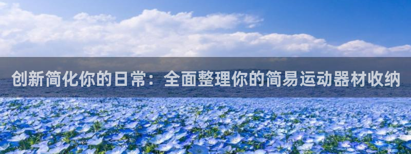 fb体育官方：创新简化你的日常：全面整理你的简易运动器材收纳