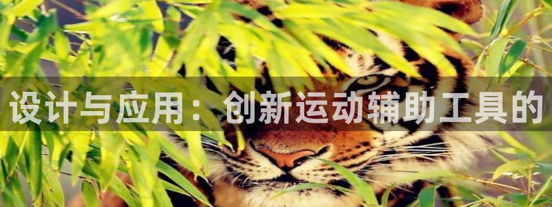 fb体育集团logo：设计与应用：创新运动辅助工具的