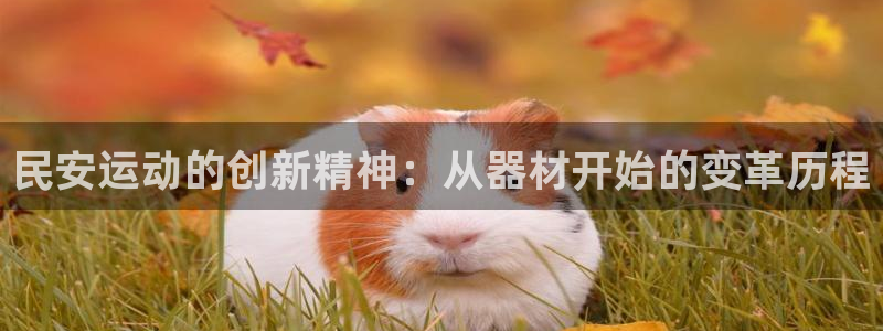 海南fb体育发展怎么样：民安运动的创新精神：从器材开