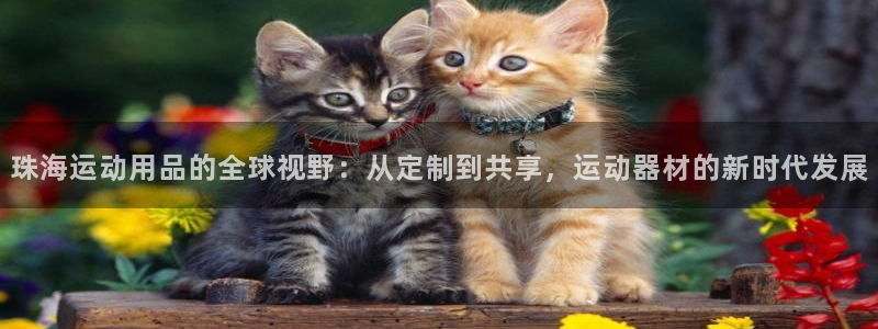 fb体育科技：珠海运动用品的全球视野：从定制到共享，