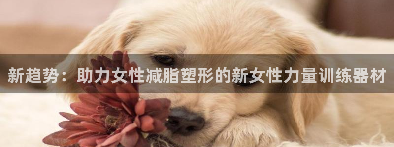 fb体育注册：新趋势：助力女性减脂塑形的新女性力量训
