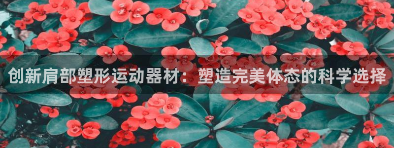 fb体育招商电话号码是多少：创新肩部塑形运动器材：塑