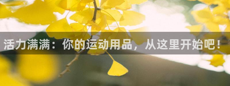 fb体育平台注册流程视频：活力满满：你的运动用品，从