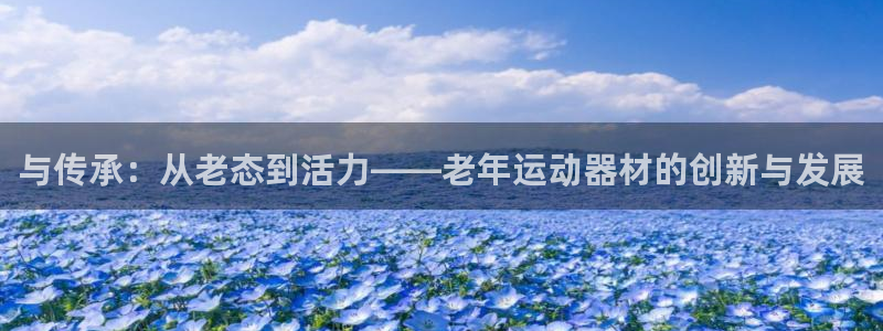 海南fb体育发展怎么样：与传承：从老态到活力——老年运动器材