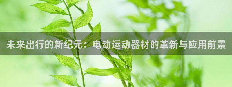 fb体育集团简介：未来出行的新纪元：电动运动器材的革