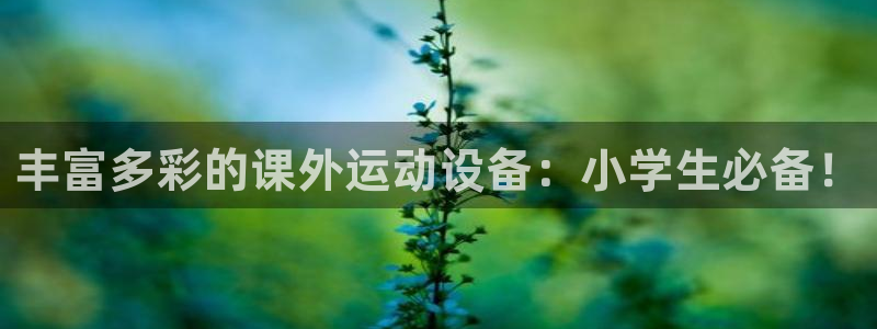 fb体育集团：丰富多彩的课外运动设备：小学生必备！