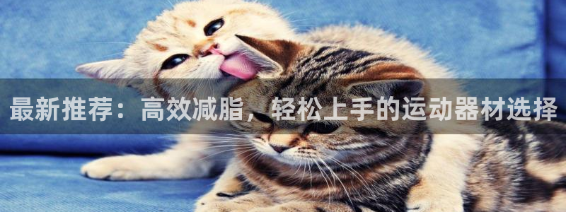 fb体育：最新推荐：高效减脂，轻松上手的运动器材选择