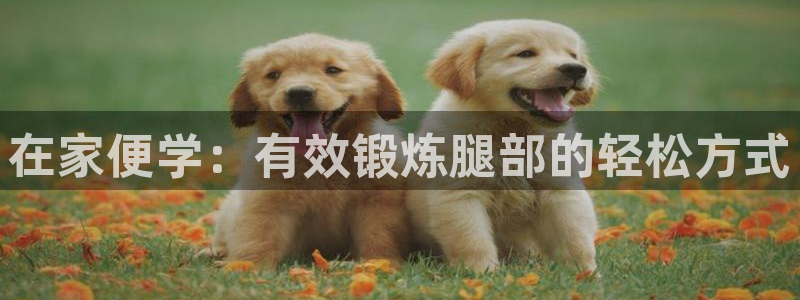 fb体育招商电话地址查询：在家便学：有效锻炼腿部的轻