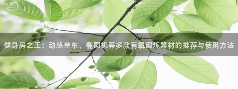 fb体育招商电话号码：健身房之王：动感单车、椭圆机等