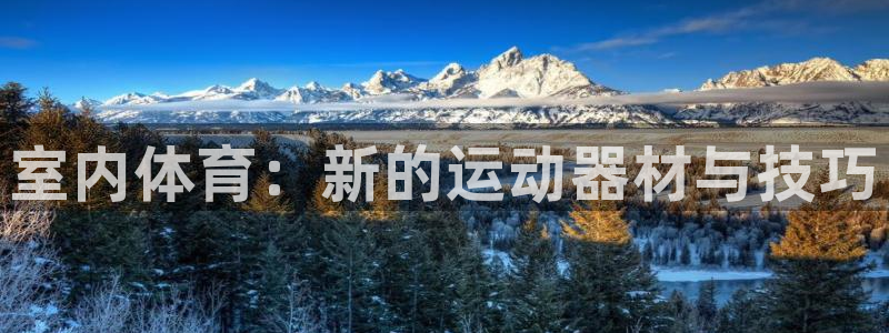 fb体育平台是正规平台吗知乎：室内体育：新的运动器材与技巧