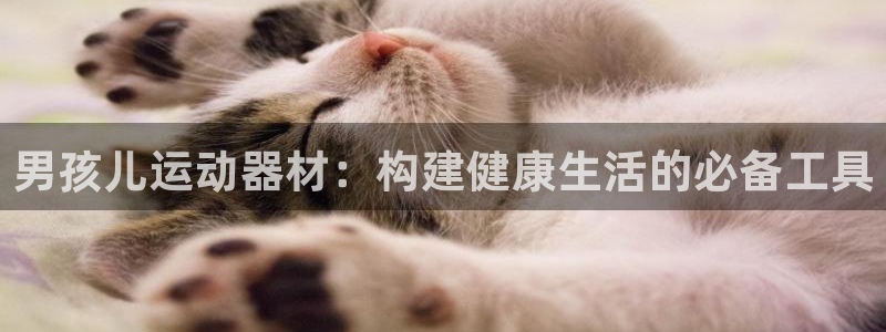 fb体育招商电话号码是多少啊：男孩儿运动器材：构建健康生活的