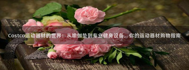fb集团官网