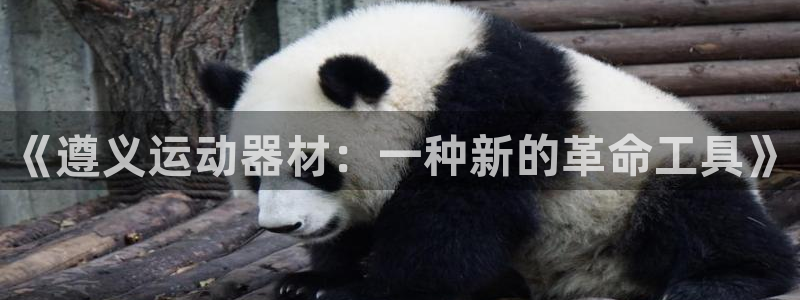 fb体育平台是正规平台吗：《遵义运动器材：一种新的革命工具》